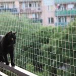 Kočičí síte na balkón